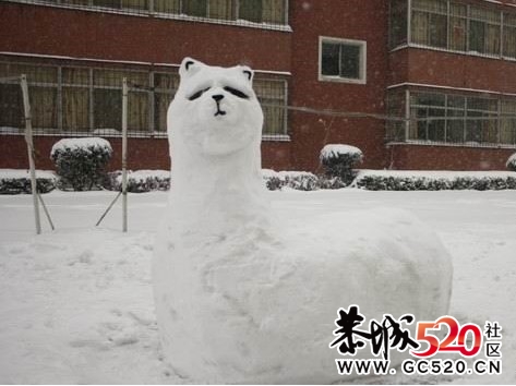 今年冬天，你可以这样堆雪人407 / 作者:火星娃崽 / 帖子ID:6767