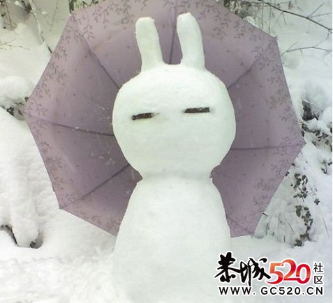 今年冬天，你可以这样堆雪人144 / 作者:火星娃崽 / 帖子ID:6767