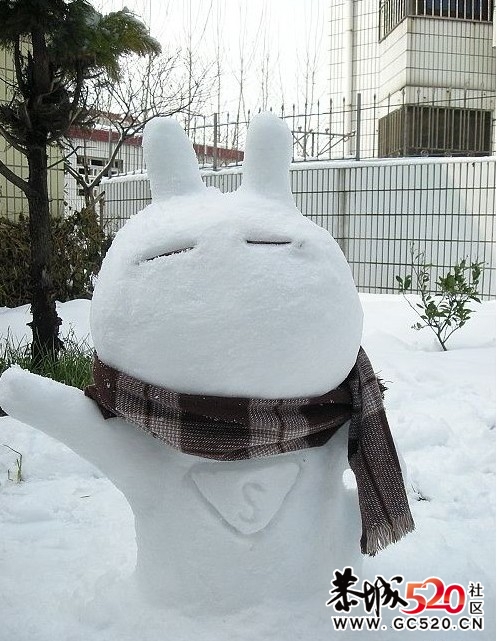 今年冬天，你可以这样堆雪人661 / 作者:火星娃崽 / 帖子ID:6767