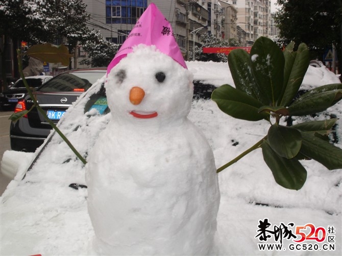 今年冬天，你可以这样堆雪人554 / 作者:小雨点 / 帖子ID:6767