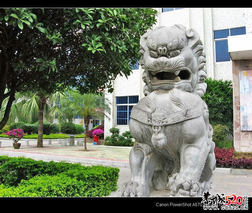 恭城中学校园一瞥379 / 作者:平安大叔 / 帖子ID:6788