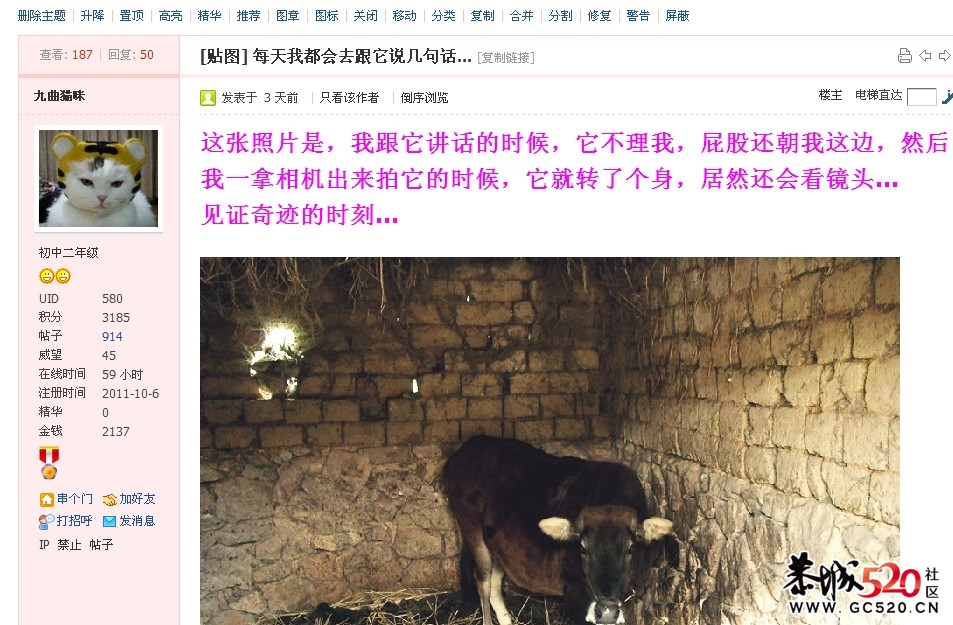 亲，今天灌水了吗？ 【12.25】102 / 作者:结局、丆過如此 / 帖子ID:6893