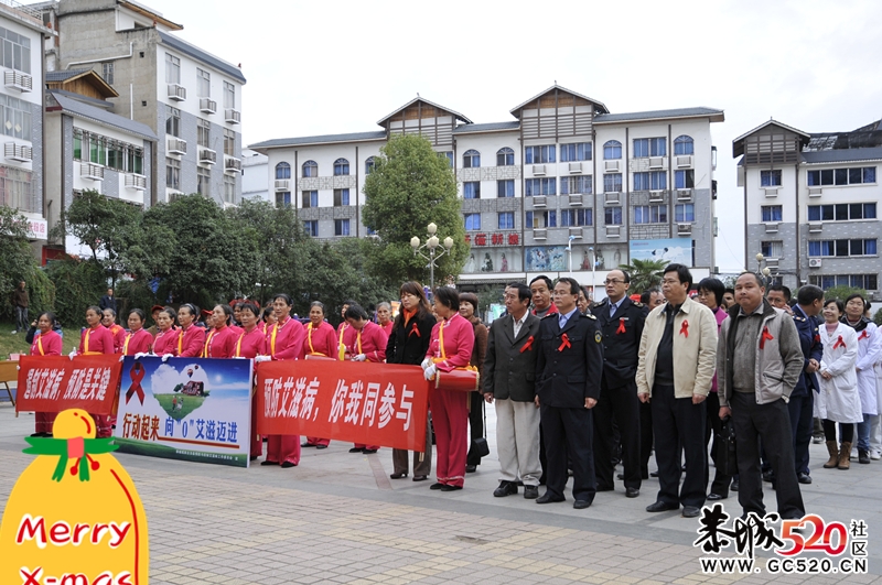 第24个国际艾滋病日 行动起来，向零艾滋迈进955 / 作者:醉仙 / 帖子ID:5175