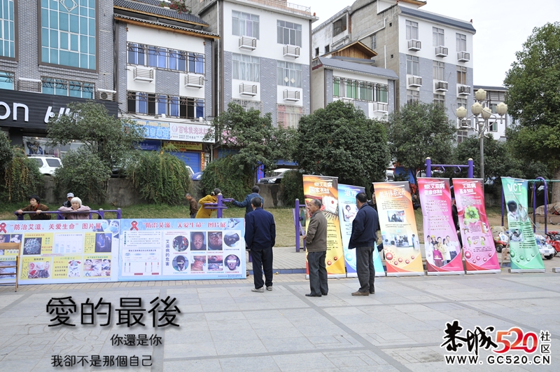 第24个国际艾滋病日 行动起来，向零艾滋迈进210 / 作者:醉仙 / 帖子ID:5175
