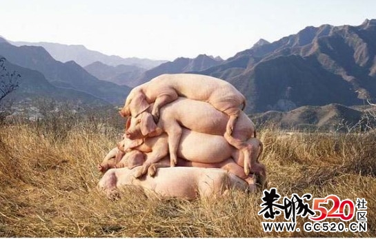 我终于抢到了`````483 / 作者:莫撩我 / 帖子ID:6885