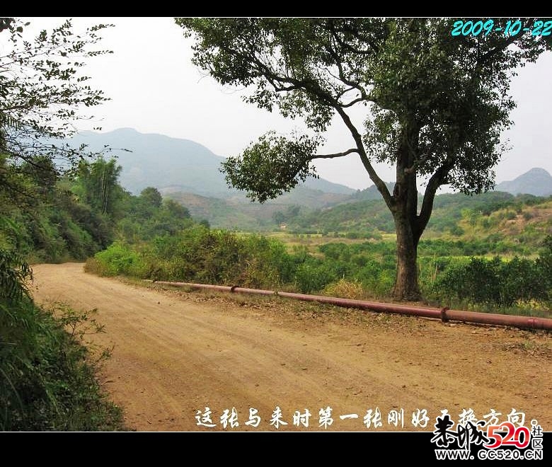 两年前骑单车经乐湾、红水塘到与平乐交界处一游&lt;一&gt;488 / 作者:平安大叔 / 帖子ID:7196
