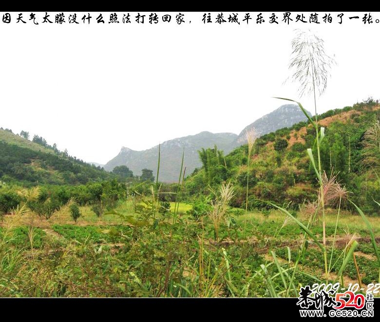 两年前骑单车经乐湾、红水塘到与平乐交界处一游&lt;一&gt;278 / 作者:平安大叔 / 帖子ID:7196