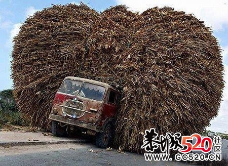 网络搞笑图片939 / 作者:我不懂你 / 帖子ID:7198