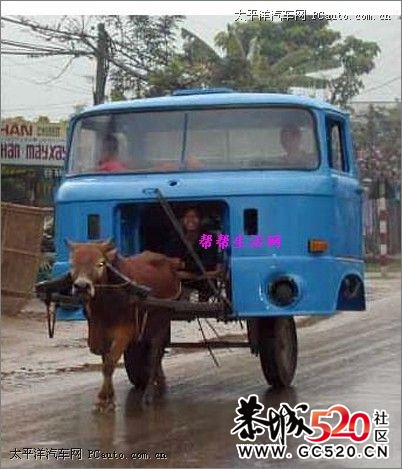 网络搞笑图片60 / 作者:我不懂你 / 帖子ID:7198