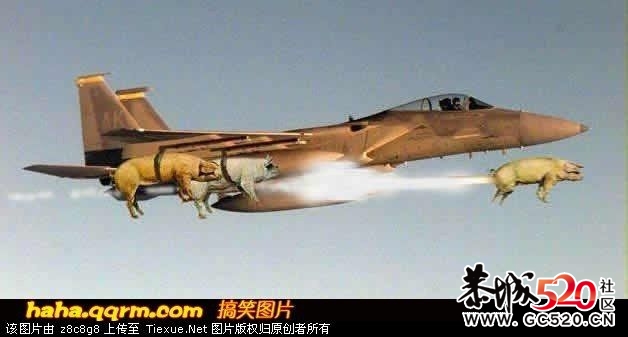 网络搞笑图片895 / 作者:我不懂你 / 帖子ID:7198