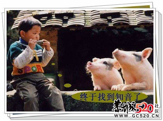 网络搞笑图片360 / 作者:我不懂你 / 帖子ID:7198