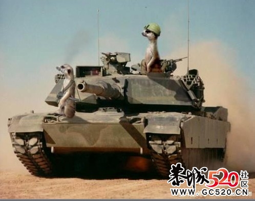 网络搞笑图片133 / 作者:我不懂你 / 帖子ID:7198