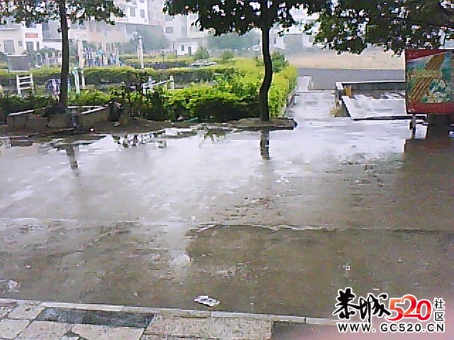 平乐版犀利哥1826 / 作者:大鸟 / 帖子ID:7238