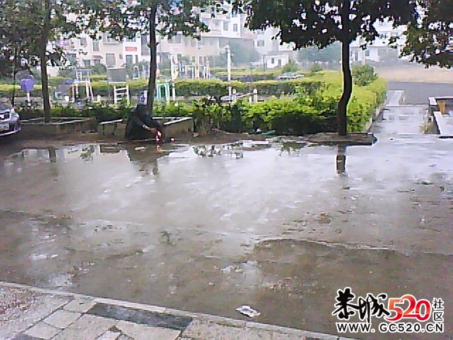 平乐版犀利哥1737 / 作者:大鸟 / 帖子ID:7238