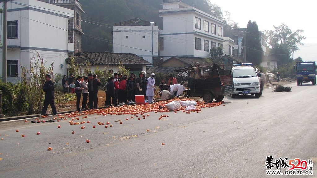 肇事逃逸，冤魂难安！恳请有良知目击者揪出杀人犯！87 / 作者:人心——良心 / 帖子ID:7244