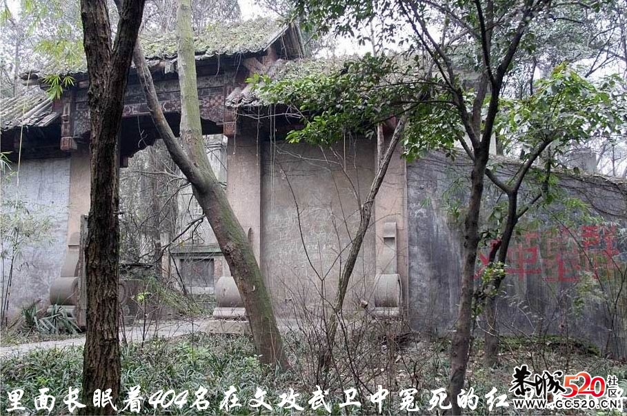 不能忘记的历史；有感于重庆红卫兵公墓被列为市级文物。702 / 作者:平安大叔 / 帖子ID:7298