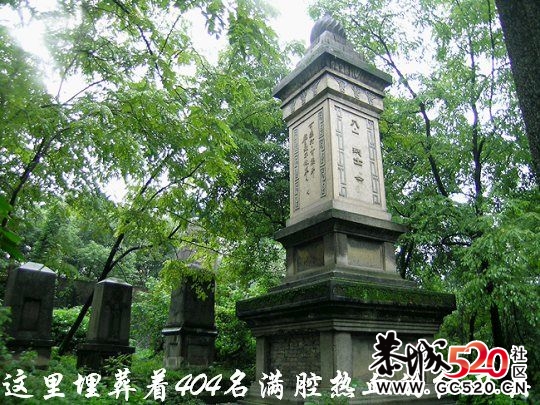 不能忘记的历史；有感于重庆红卫兵公墓被列为市级文物。30 / 作者:平安大叔 / 帖子ID:7298