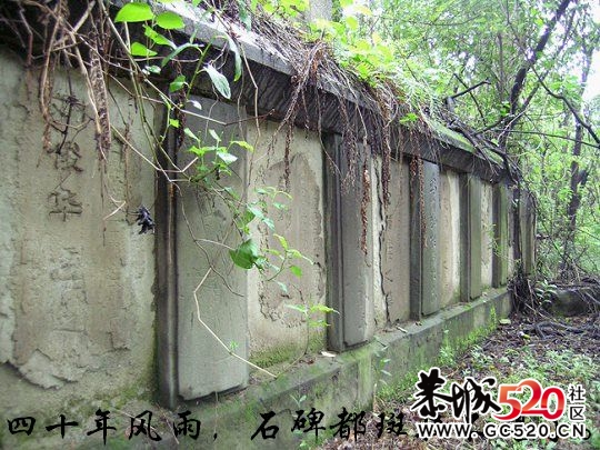 不能忘记的历史；有感于重庆红卫兵公墓被列为市级文物。557 / 作者:平安大叔 / 帖子ID:7298