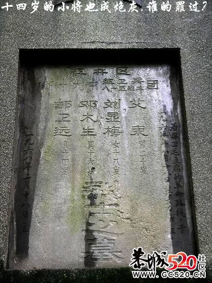 不能忘记的历史；有感于重庆红卫兵公墓被列为市级文物。1000 / 作者:平安大叔 / 帖子ID:7298