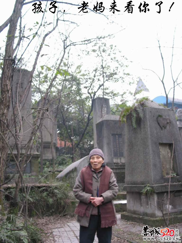 不能忘记的历史；有感于重庆红卫兵公墓被列为市级文物。206 / 作者:平安大叔 / 帖子ID:7298
