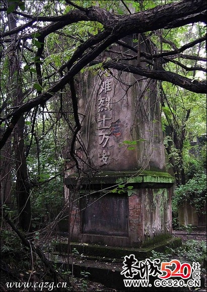 不能忘记的历史；有感于重庆红卫兵公墓被列为市级文物。853 / 作者:平安大叔 / 帖子ID:7298