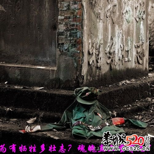 不能忘记的历史；有感于重庆红卫兵公墓被列为市级文物。181 / 作者:平安大叔 / 帖子ID:7298