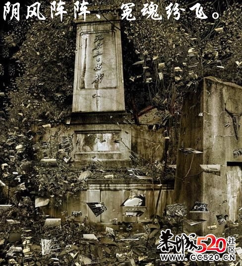 不能忘记的历史；有感于重庆红卫兵公墓被列为市级文物。78 / 作者:平安大叔 / 帖子ID:7298