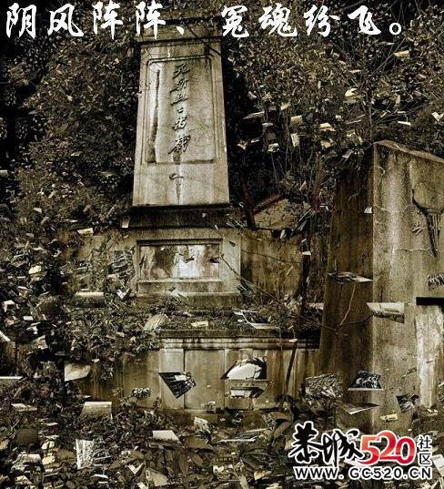 不能忘记的历史；有感于重庆红卫兵公墓被列为市级文物。765 / 作者:平安大叔 / 帖子ID:7298
