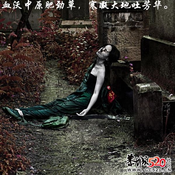 不能忘记的历史；有感于重庆红卫兵公墓被列为市级文物。695 / 作者:平安大叔 / 帖子ID:7298