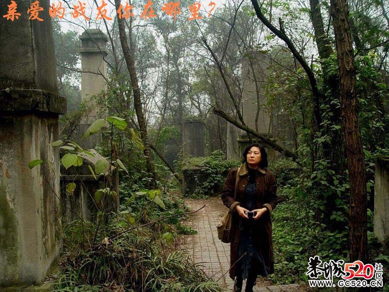 不能忘记的历史；有感于重庆红卫兵公墓被列为市级文物。935 / 作者:平安大叔 / 帖子ID:7298