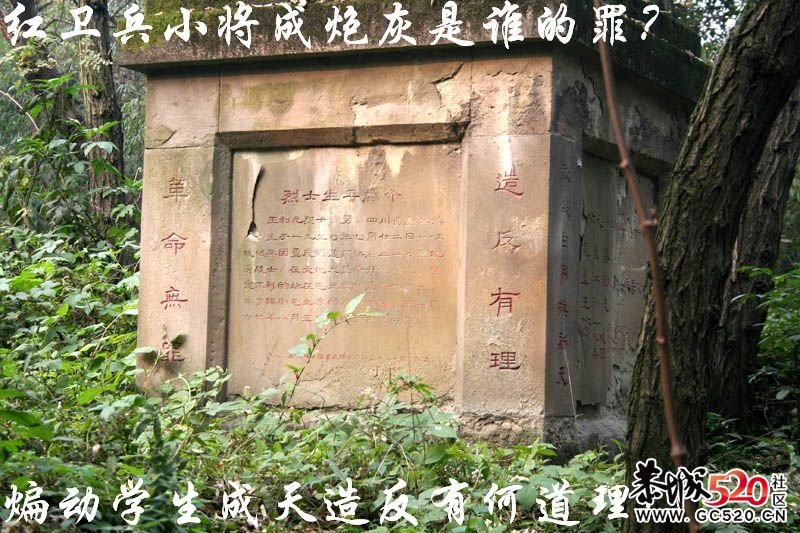 不能忘记的历史；有感于重庆红卫兵公墓被列为市级文物。467 / 作者:平安大叔 / 帖子ID:7298