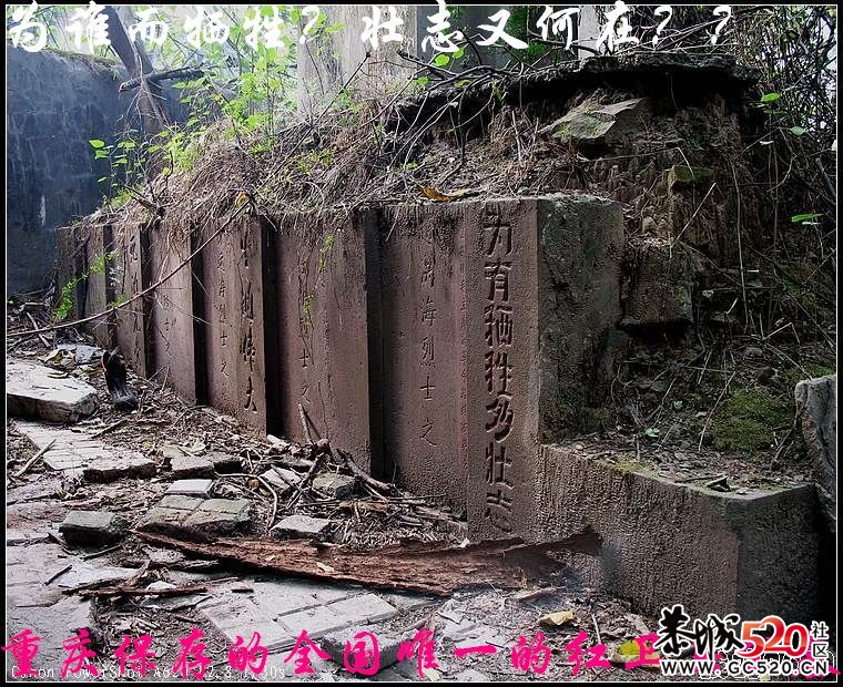 不能忘记的历史；有感于重庆红卫兵公墓被列为市级文物。598 / 作者:平安大叔 / 帖子ID:7298