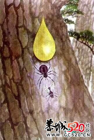 小学课文插图,事隔多年——你还记得？461 / 作者:淘气蜻蜓 / 帖子ID:7429