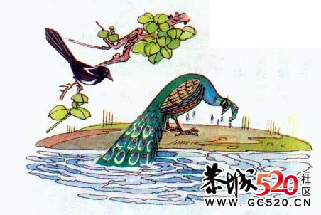 小学课文插图,事隔多年——你还记得？552 / 作者:淘气蜻蜓 / 帖子ID:7429