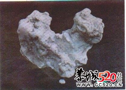 小学课文插图,事隔多年——你还记得？779 / 作者:淘气蜻蜓 / 帖子ID:7429