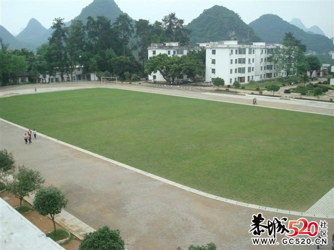 哪位同志来贴些现在莲花中学校园校貌的图片啊？高中时代在那里度过，很多年没去那里了53 / 作者:Aline / 帖子ID:7431