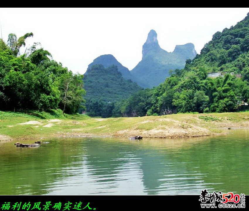 福利﹕电影&lt;刘三姐&gt;拍摄点游记296 / 作者:平安大叔 / 帖子ID:7436