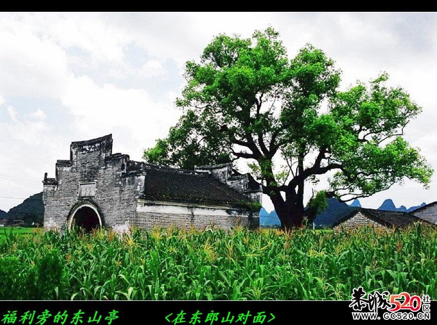 福利﹕电影&lt;刘三姐&gt;拍摄点游记626 / 作者:平安大叔 / 帖子ID:7436
