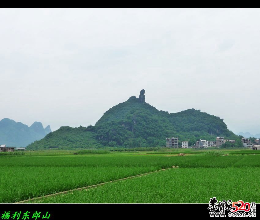 福利﹕电影&lt;刘三姐&gt;拍摄点游记997 / 作者:平安大叔 / 帖子ID:7436