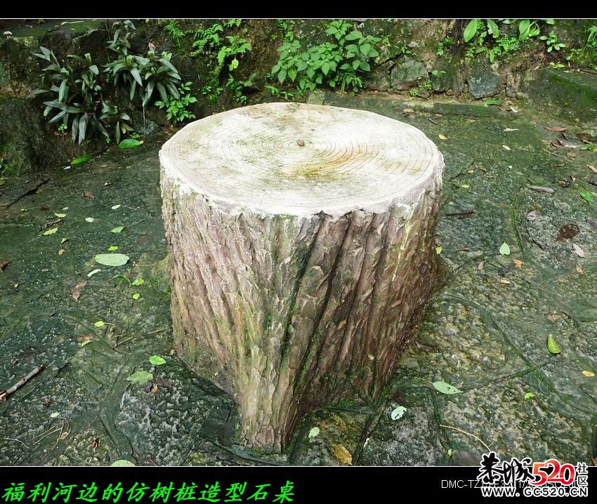 福利﹕电影&lt;刘三姐&gt;拍摄点游记186 / 作者:平安大叔 / 帖子ID:7436