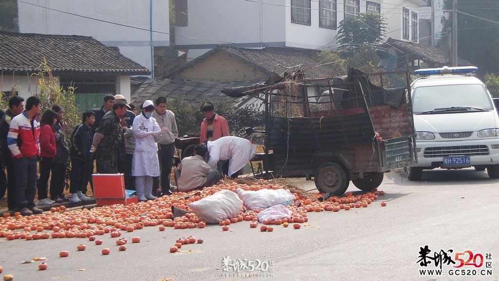 肇事逃逸！冤魂难安！恳请目击者帮忙揪出杀人犯！477 / 作者:城鱼——燕回 / 帖子ID:7484