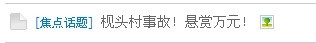 肇事逃逸！冤魂难安！恳请目击者帮忙揪出杀人犯！815 / 作者:城鱼——燕回 / 帖子ID:7484