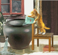 2011 疯狂灌水 感谢有你33 / 作者:平安大叔 / 帖子ID:7452