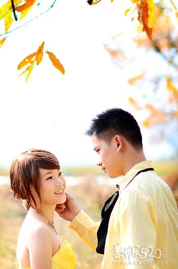 我的婚纱360 / 作者:0726 / 帖子ID:7544