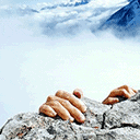 好没想出现的，算了，给大家露露脸967 / 作者:网事随缘 / 帖子ID:7660