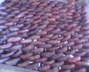 我家晒的柿饼900 / 作者:我不是黄蓉 / 帖子ID:7669