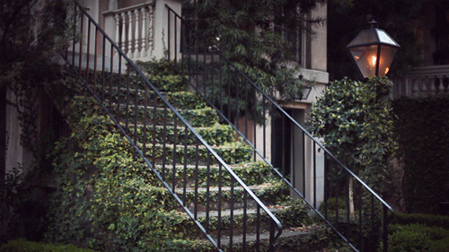 发几张唯美的GIF动态图、供签名用。792 / 作者:请在我身后 / 帖子ID:7678