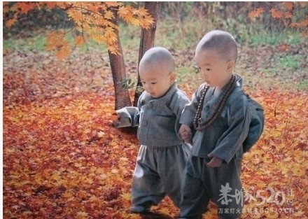 四大皆空597 / 作者:好孩子 / 帖子ID:7690