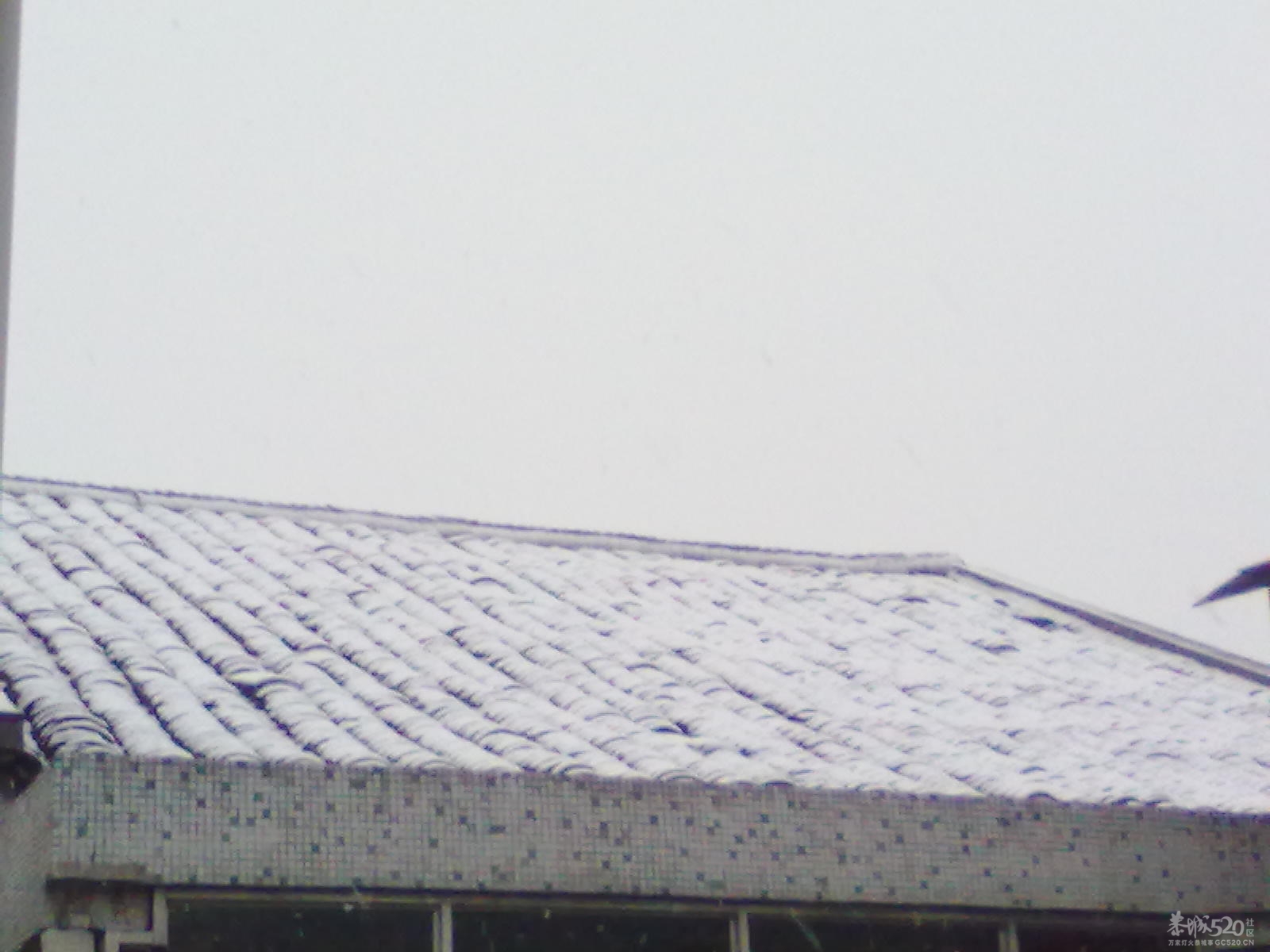 下雪~(≧▽≦)/~啦啦啦508 / 作者:小雨点 / 帖子ID:7721