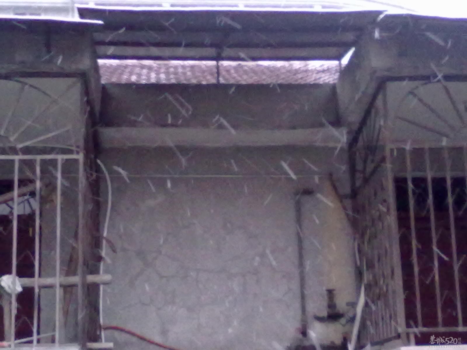 下雪~(≧▽≦)/~啦啦啦859 / 作者:小雨点 / 帖子ID:7721